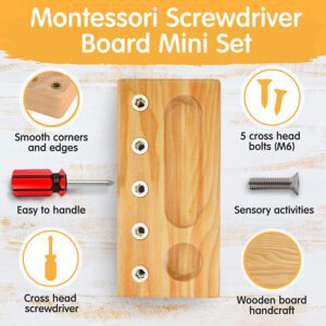 Montessori Screwdriver Board Set